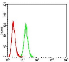 4 - Anti-P2Y1 Antibody AP95986