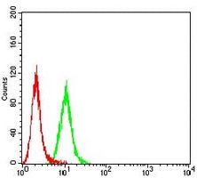 4 - Anti-P2Y12 Antibody AP95987