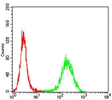 4 - Anti-PDI Antibody AP95988