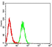 4 - Anti-DJ-1 Antibody AP95989