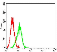 4 - Anti-PAX8 Antibody AP95990