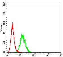 4 - Anti-Protocadherin-9 Antibody AP95991
