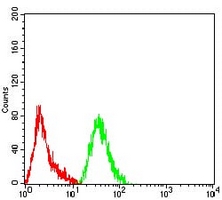4 - Anti-PCK2 Antibody AP95992