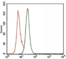 4 - Anti-PCNA Antibody AP95993