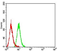 4 - Anti-CD279 Antibody AP95994