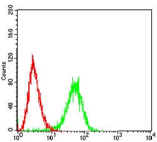 4 - Anti-PDHA1 Antibody AP95996