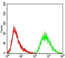 4 - Anti-PDK2 Antibody AP95997