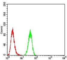 4 - Anti-PDPK1 Antibody AP95998