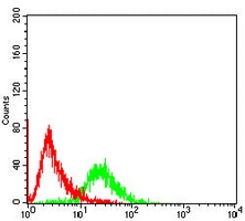 4 - Anti-Pyridoxal Kinase Antibody AP95999
