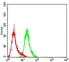 4 - Anti-Progesterone Receptor Antibody AP96000