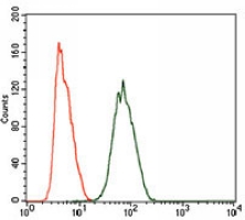 4 - Anti-HIWI2 Antibody AP96002