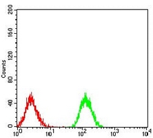 4 - Anti-PLC gamma 1 Antibody AP96004