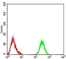 4 - Anti-PLC gamma 1 Antibody AP96005
