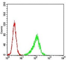 4 - Anti-PLC gamma 2 Antibody AP96006