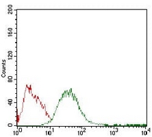 4 - Anti-Adipophilin Antibody AP96007