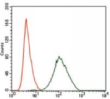 4 - Anti-PLK1 Antibody AP96009