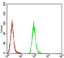 4 - Anti-PMS2 Antibody AP96010