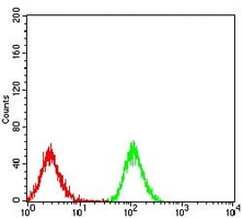 4 - Anti-PPAR alpha Antibody AP96011