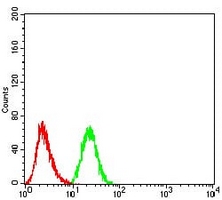 4 - Anti-PRDM14 Antibody AP96013