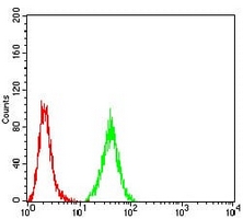 4 - Anti-PRDM5 Antibody AP96014