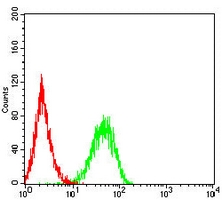 4 - Anti-Perforin 1 Antibody AP96015