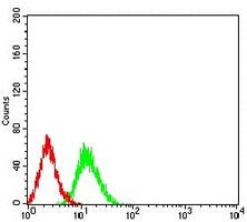 4 - Anti-AMPK alpha 2 Antibody AP96016