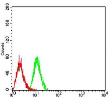 4 - Anti-PSMC3 Antibody AP96018