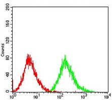 4 - Anti-PTP1B Antibody AP96019