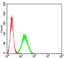 4 - Anti-CD45 Antibody AP96020