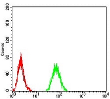 4 - Anti-RAB11FIP1 Antibody AP96021