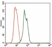4 - Anti-Rab 4A Antibody AP96022