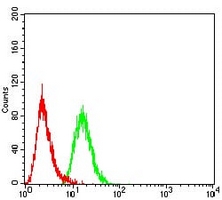 4 - Anti-RAB5A Antibody AP96023