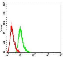 4 - Anti-RAB6B Antibody AP96024