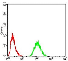4 - Anti-RAD21 Antibody AP96025