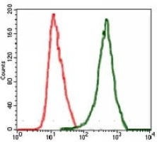 4 - Anti-c-RAF Antibody AP96029