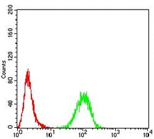 4 - Anti-RALA Antibody AP96030