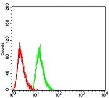 4 - Anti-RAN Antibody AP96032