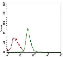 4 - Anti-RB1 Antibody AP96034