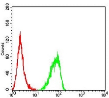 4 - Anti-RbAp46 Antibody AP96035