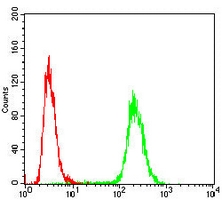 4 - Anti-RhoA Antibody AP96037