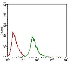 4 - Anti-RING1 Antibody AP96038