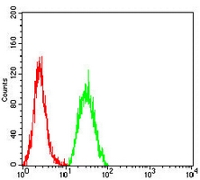 4 - Anti-SALL4 Antibody AP96043