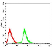4 - Anti-SDHA Antibody AP96046