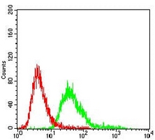 4 - Anti-Serpin A3 Antibody AP96047