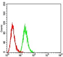 4 - Anti-SETD7 Antibody AP96048