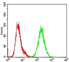 4 - Anti-SHC1 Antibody AP96049