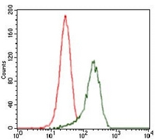 4 - Anti-SHH Antibody AP96050