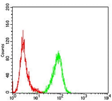 4 - Anti-Siglec 15 Antibody AP96051