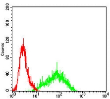 4 - Anti-CD329 Antibody AP96052
