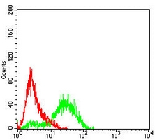 4 - Anti-SLC22A12 Antibody AP96055